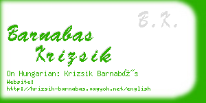 barnabas krizsik business card